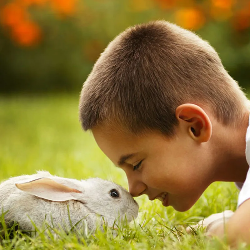 Bambino naso a naso con un coniglio bianco sull'erba