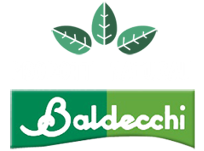 Baldecchi